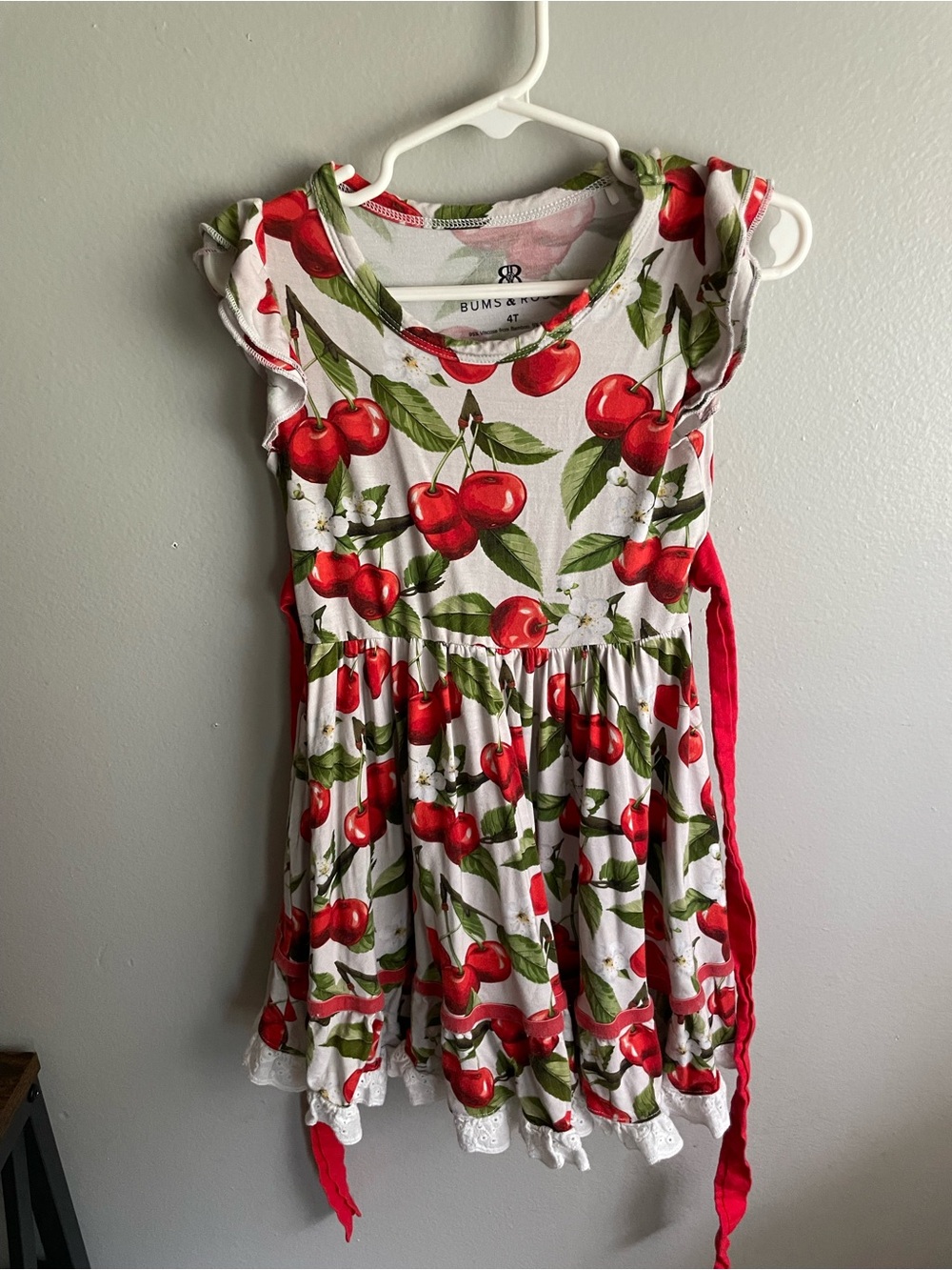 4T Bums and Roses Cherry Dress